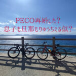 peco再婚した？ 息子も旦那もりゅうちぇる似？