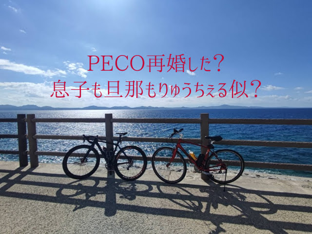 peco再婚した？ 息子も旦那もりゅうちぇる似？