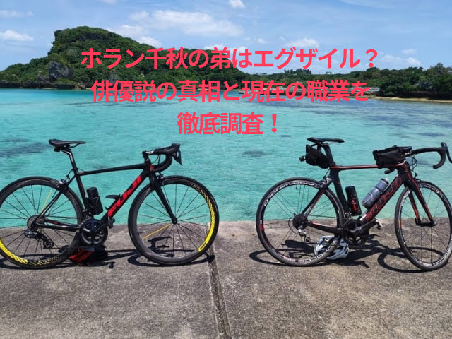 ホラン千秋の弟はエグザイル？俳優説の真相と現在の職業を徹底調査！