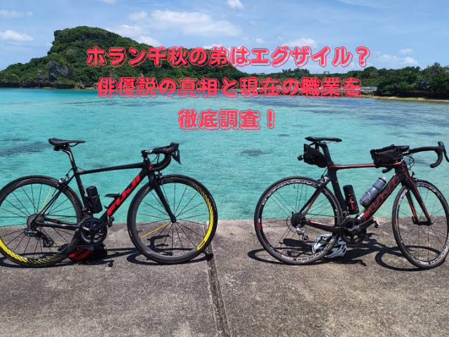 ホラン千秋の弟はエグザイル？俳優説の真相と現在の職業を徹底調査！