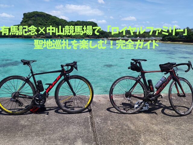 有馬記念×中山競馬場で「ロイヤルファミリー」聖地巡礼を楽しむ！完全ガイド